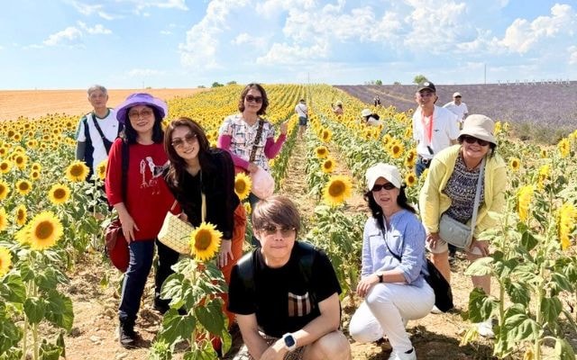 2025/06/28 法國16天